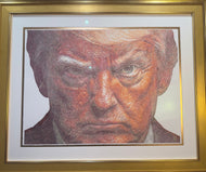 The Mug Shot by Lingua