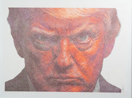 The Mug Shot by Lingua